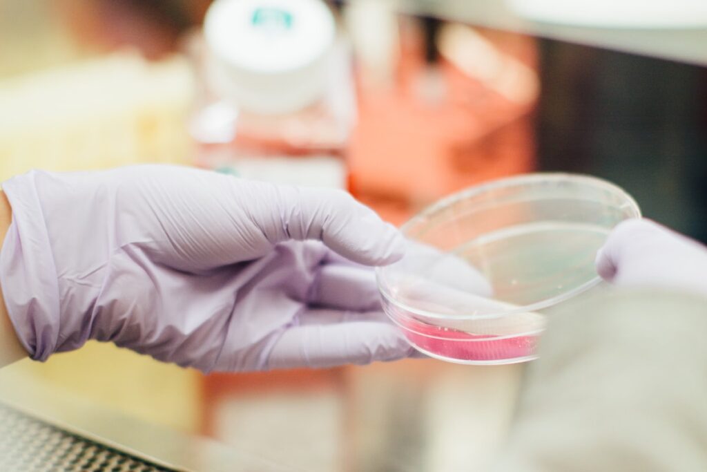 Mão com luva de laboratório manuseando placa em ambiente controlado